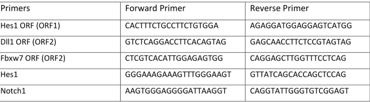 Table 9 – Primers used in ChIP-qPCR 