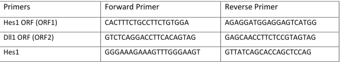 Table 10 – Primers used in FAIRE-qPCR 