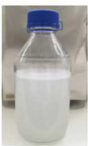 Figure 3.7 -  Artificial Saliva at pH 7 