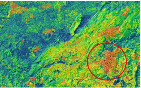 Figura 7 – Imagem de 1 setembro de 2014 LANDSAT8 EVI mostra os focos de calor  gerados  pelo  EOSDIS  do  dia  e  indicando  que  as  áreas  mais  avermelhadas  possuem  menor EVI e as azuladas maiores EVI