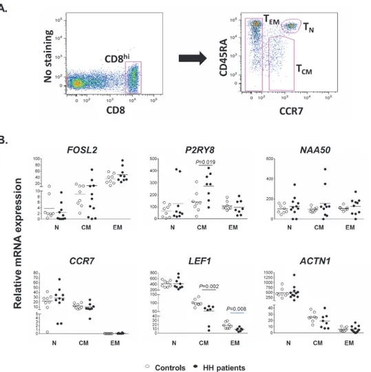 Fig 1. Gene expression analysis in CD8 + T-cell subpopulations. A) Gating strategy used to discriminate the CD8 + T subpopulations of na ï ve, central memory and effector memory cells