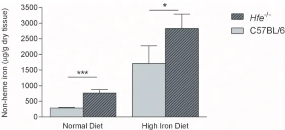 Fig 3. Hepatic iron concentration of Hfe -/- and C57BL/6 mice under a normal or a high-iron diet
