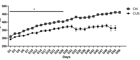 Figure 7 –Stressed animals gain less weight over time. Results are expressed as mean ± SE *p<0.05