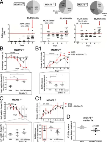 Fig. 6. MGAT5 null or heterozygous mice develop early-onset colitis and an increase in disease severity that is suppressed by GlcNAc treatment