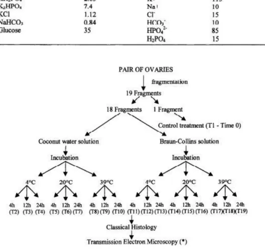 Table 1. Composition of the Braun-Collins solution 