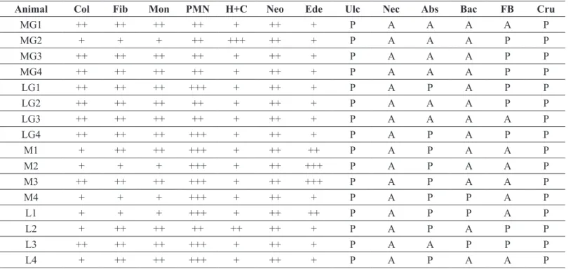 TABLE 2 – Results of histopathological analysis, stratified by the four groups LG, L, M and MG
