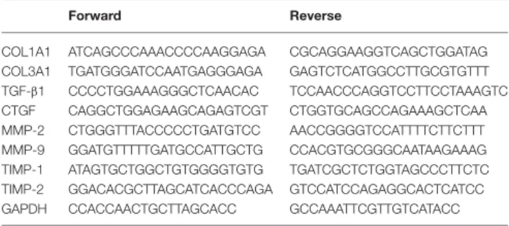 TABLE 1 | List of oligonucleotide primers.