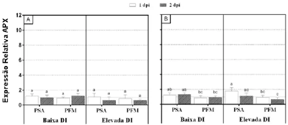 Figura 7 - Análise de expressão do gene APX em plantas ‘Hayward’ (A) e Ken’s Red’ (B) 1 e 2 dias pós  inoculação  artificial  com  uma de  duas  densidades de inóculo  (DI)  distintas de  PSA  ou  PFM