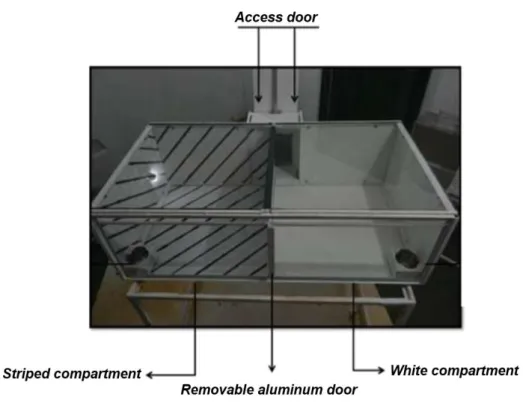 Figure  3  . CPP  procedure  with  two  different  compartments  separated  by  a  aluminum  wall  for evaluation of the reinforcing stimuli effects of  MPH stimuli, including rewarding (Photo: 