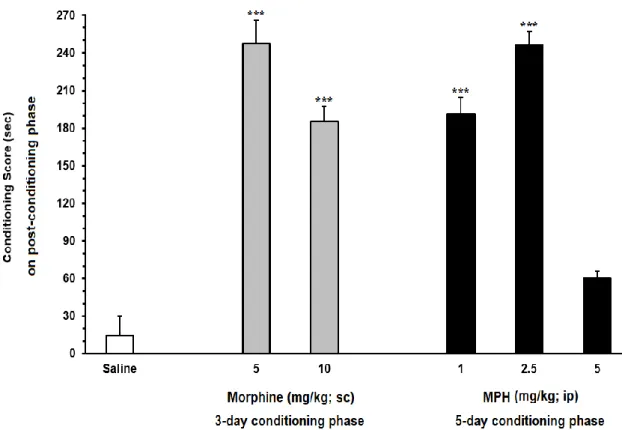 Figure 14. The effects of different doses of morphine and MPH in the CPP paradigm. Morphine  induced  CPP  in  5  and  10  mg/kg  and  MPH  1  and  2.5  mg/kg  doses