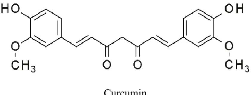 Figure 2. Molecular structure of curcumin. 