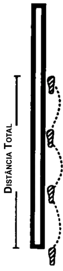 Figura 8 - Esquema do “Triple Hop Test”