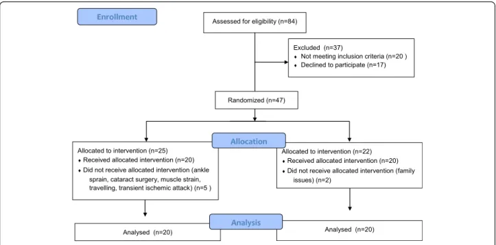 Fig. 1 Flow diagram of the process trough the phases of the study