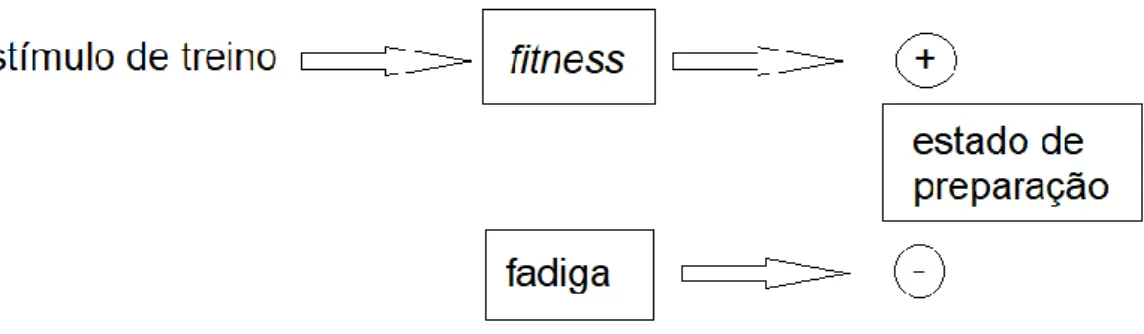 Figura 12 - Modelo &#34;fitness-fatigue&#34; (adaptado de van Winckel, McMillan, et. al, 2014) 