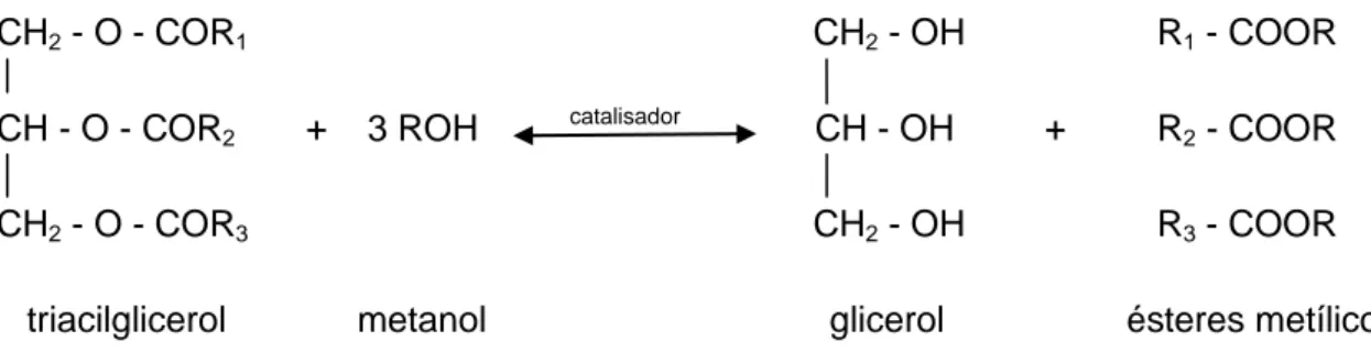 Figura 2 - Representação esquemática da reacção de transesterificação 