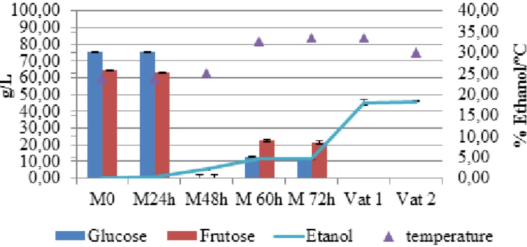 Figure 4: Evolution of residual Sugars and ethanol during the process of vinification, in the P2 sampling point.