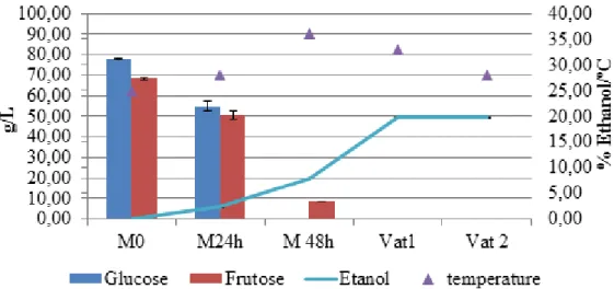 Figure 6: Evolution of residual Sugars and ethanol during the process of vinification, in the P3 sampling point.