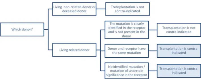 Figure 5 - Differential diagnosis of TMA in kidney transplantation.