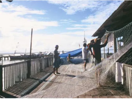 Fig. 11 - Hommes ramendant sur le port