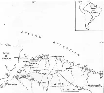 Fig. 1 - La zone du Salgado, État du Pará
