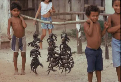 Fig. 4 - Enfants revenant de la mangrove avec des crabes