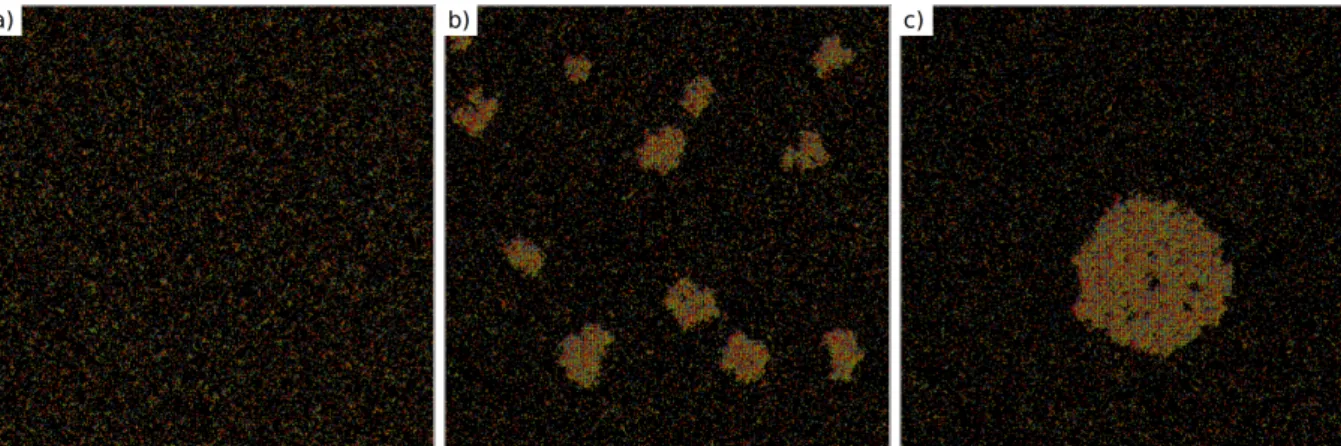 Figure 4.2: Snapshots of the time evolution, in KMC time units, of an active system where the dominant behaviour is self- self-propelled motion with particle collision, for a density ρ = 0.2 and activity ε = 8