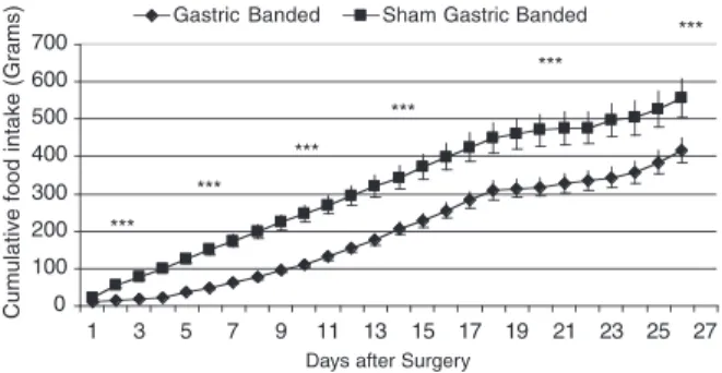Figure 1. Graph displaying cumulative body weight gain in gastric banded and sham-operated rats