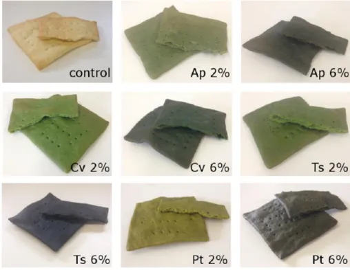 Figure  1.  Control  cracker  and  crackers  with  2%  (w/w)  and  6%  (w/w)  microalgae  biomass