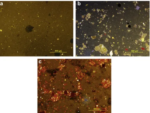Fig. 7. Fluorescence microscopy images of 5% starch gel systems (a) with 1.5% Spirulina (b) and Haematococcus (c) microalgal biomass addition (DAPI ﬁlter).