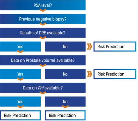 Figure 3.  The Rotterdam Prostate Cancer Risk Calculator decision tree. PSA: prostate-specific antigen; DRE: digital rectal examination; phi: Prostate Health Index.
