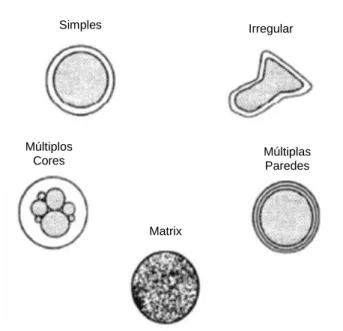Figura 4. Exemplo de diferentes estruturas de micropartículas. Adaptado de Gharsallaoui et al., 2007 