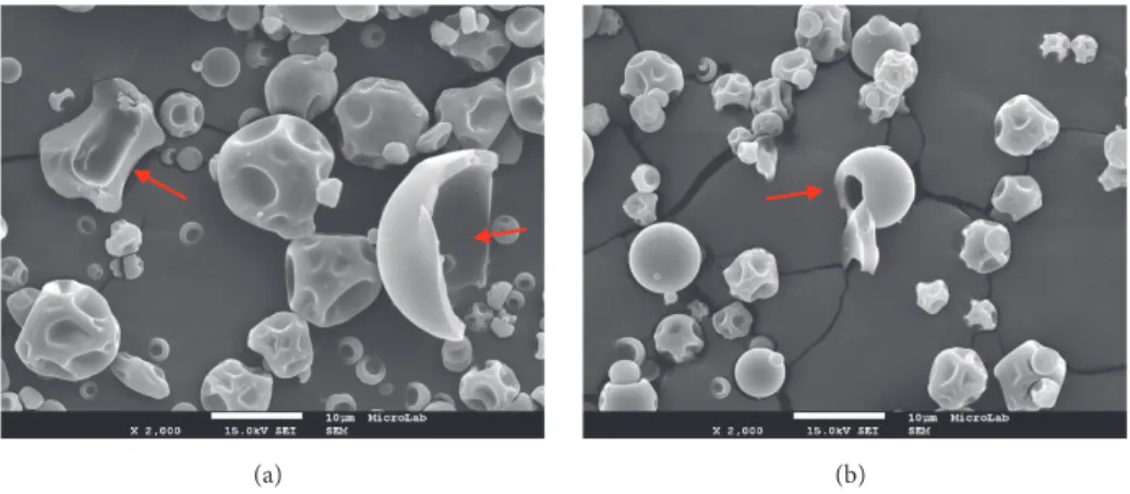 Figure 2: Scanning electron microscopy (SEM) images (magnification x2000) of the internal surface of Arabic gum microparticles with 