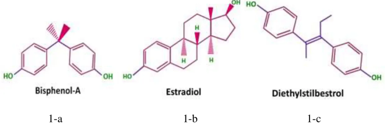 Figura  1-  Representação  de  estrutura  do  BPA  (1-a)  e  de  hormônios  endócrinos:  