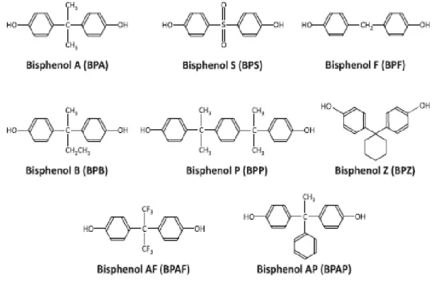 Figura 2 –  Bisfenóis análogos derivados de alguns  outros produtos  ou  resultantes  de poluição 17 