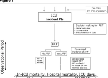 Figure 1 presents a study flowchart. Only incident patients with an indication for RRT will be recruited