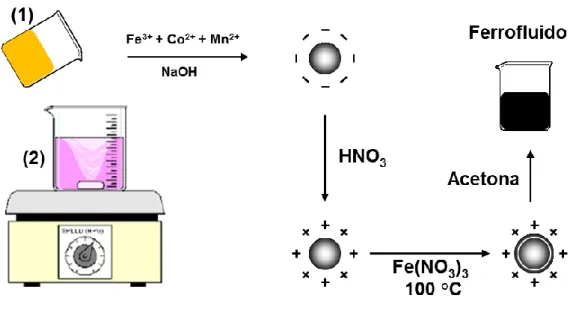 Figura 7 – Etapas realizadas no processo de síntese das ferritas de cobalto e manganês
