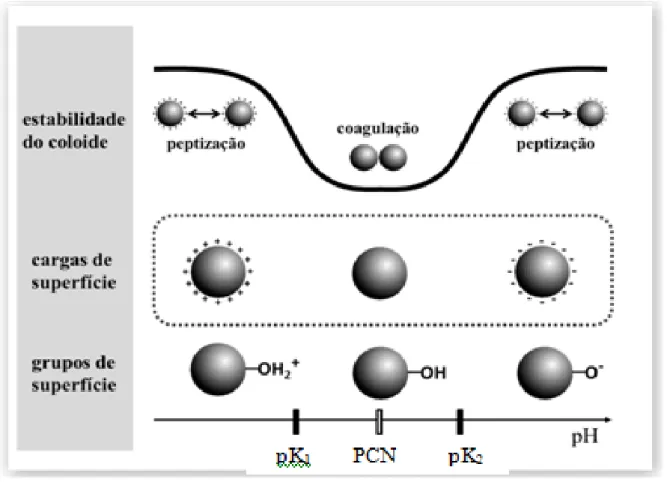 Figura 8- Diagrama esquemático representando a estabilidade coloidal, as cargas  de  superfície  e  os  grupos  associados  a  essas  cargas,  em  função  do  pH