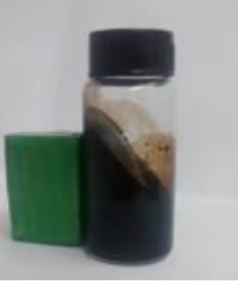 Figura  9  –  Ferrofluido  a  base  de  ferritas  de  cobre  e  manganês.  O  magnetismo  do  material é claramente perceptível pela ação do imã