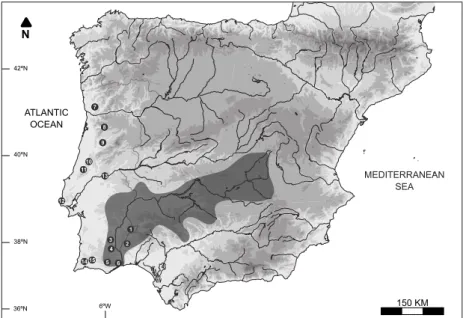 Table 1  Diagnostic phenotypic traits used for the in loco  identification of Luciobarbus specimens sampled in the 