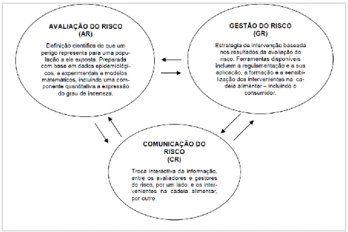 Figura 2. Componentes da análise de risco (CAC, 2003). 