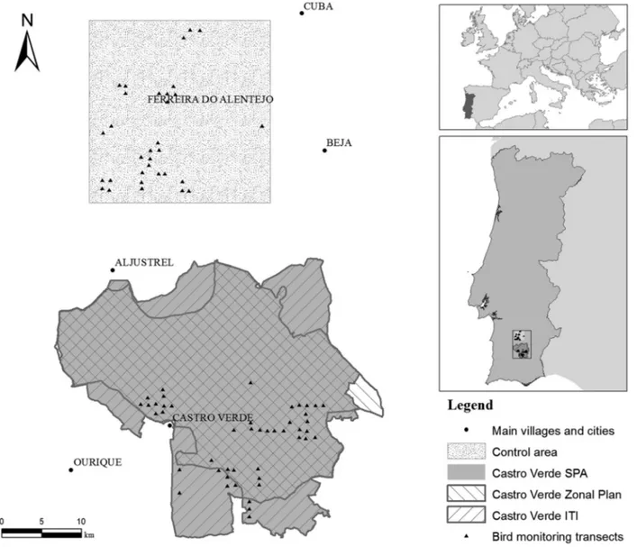 Figure 1 Location of the study area in southern Portugal, showing transects sampled for breeding birds within the Castro Verde SPA (n = 46) and the nearby control area (n = 32)