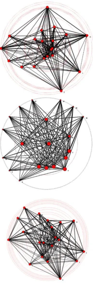 Figure 8. Lokoloko, Lda. Partner Network  Configurations. 
