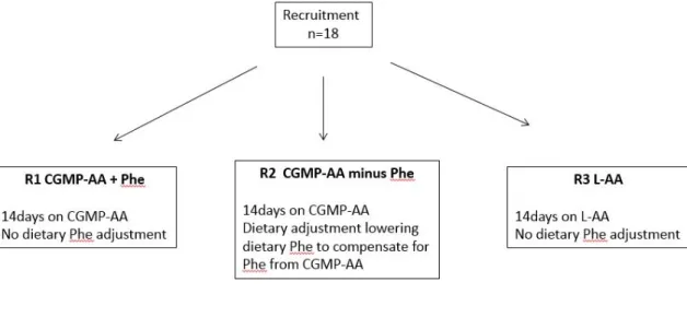 Figure 1. Diagram showing overview of study methodology. Each subject was randomised to R1, R2  and R3 for 14 days, on day 13 and 14, 4 hourly blood spots were collected for Phe and Tyr  concentrations