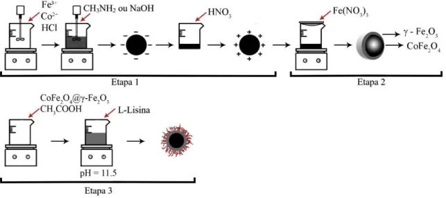 Figura 6. Processo de síntese dos nanoadsorventes.  