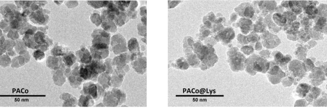 Figura 16. Imagens de MET para as amostras PACo e PACo@Lys.   