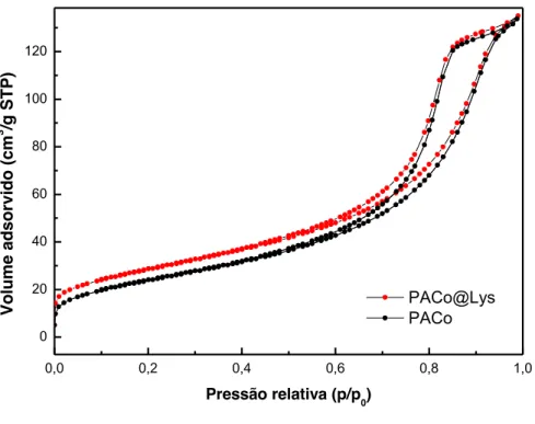 Figura 26. Isotermas BET para as amostras PACo@Lys e PACo. 
