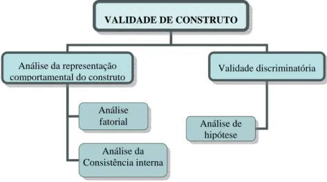 Figura 1. Técnicas estatísticas utilizadas na validade de construto. 