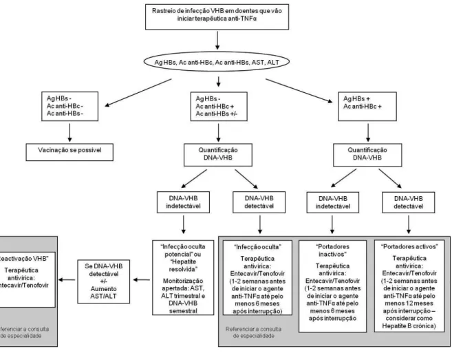 Fig. 1 - Algoritmo proposto para a abordagem da infecção por VHB em doentes que vão iniciar terapêutica anti-TNFα (adaptado  de Mastroianni et al.).