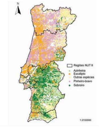 Figura 5 Área florestal por Espécie dominante em 2005/06 (DGRF 2007b, CELPA 2009). 