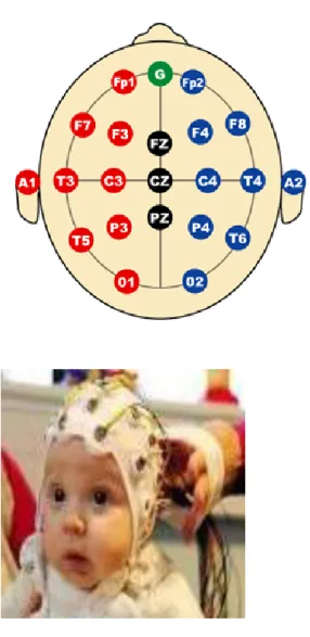Figure 1 – Position of the electrodes in the International System Installation 10-20. 